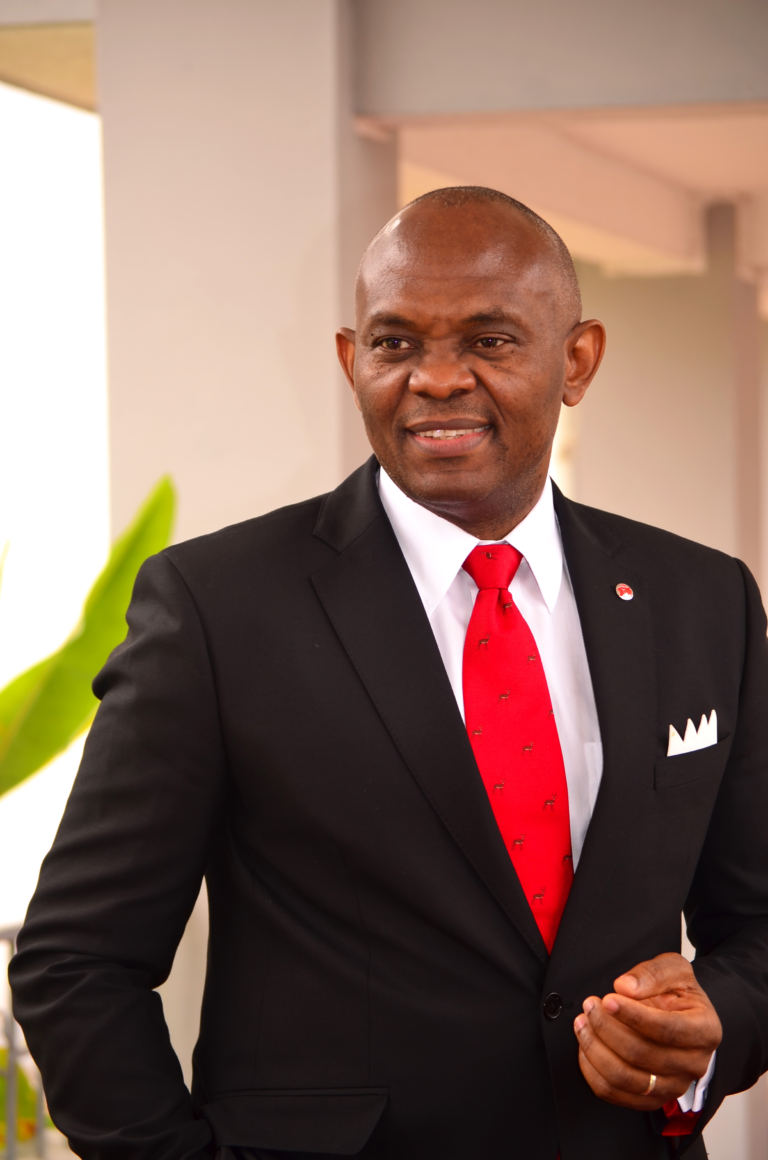 How I became bank CEO at 34 -Tony Elumelu