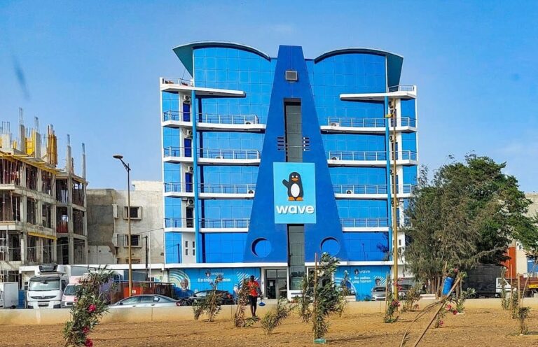 Wave raises Funds to expand mobile money services across Africa