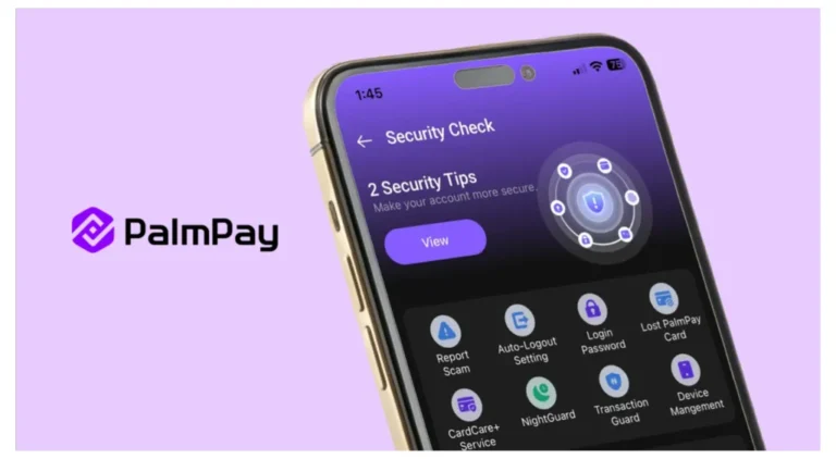 PalmPay Identifies Solutions To Combat Digital Payment Fraud