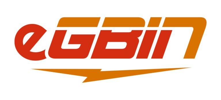 Egbin Power Launches Digital Skills Empowerment Program For Host Communities